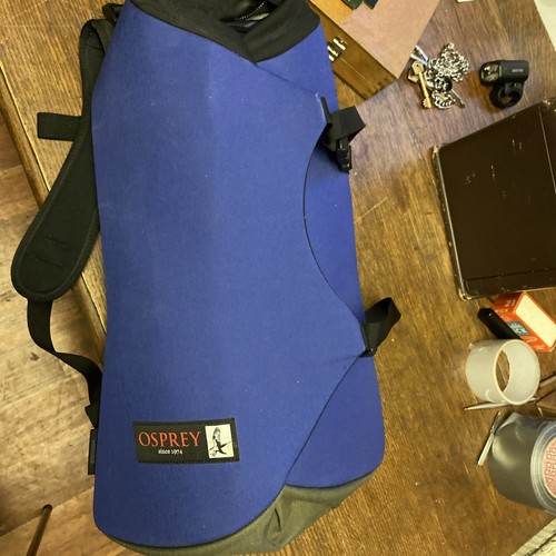 Rare osprey heritage scarab - rare, 30
